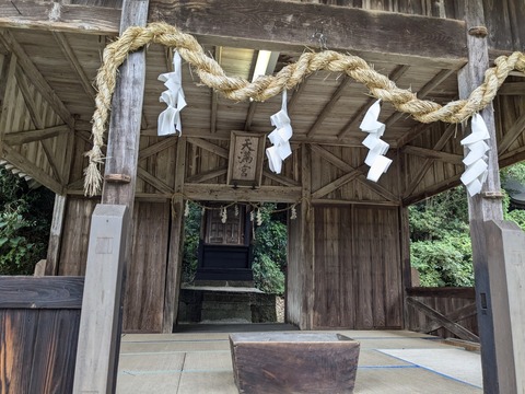 PXL_20240925_020510457