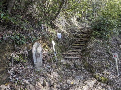 PXL_20240329_232216652