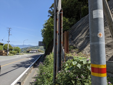 PXL_20240425_015701438.MP