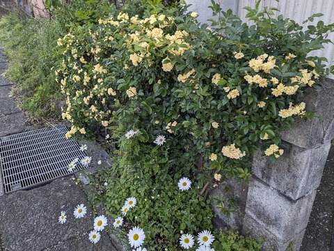 PXL_20240424_231615192