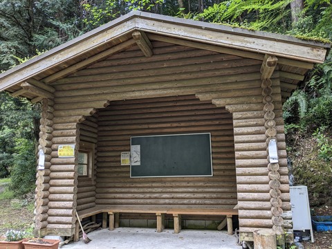 PXL_20240426_025755365