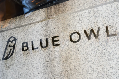 BLUE OWL