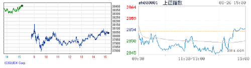 2024.08.26-225上海