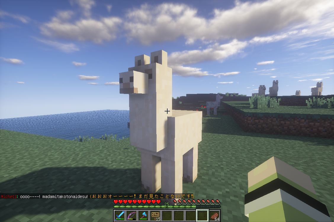 Rabi World Rabiのminecraft日誌 Rabi World Rabiのminecraft日誌