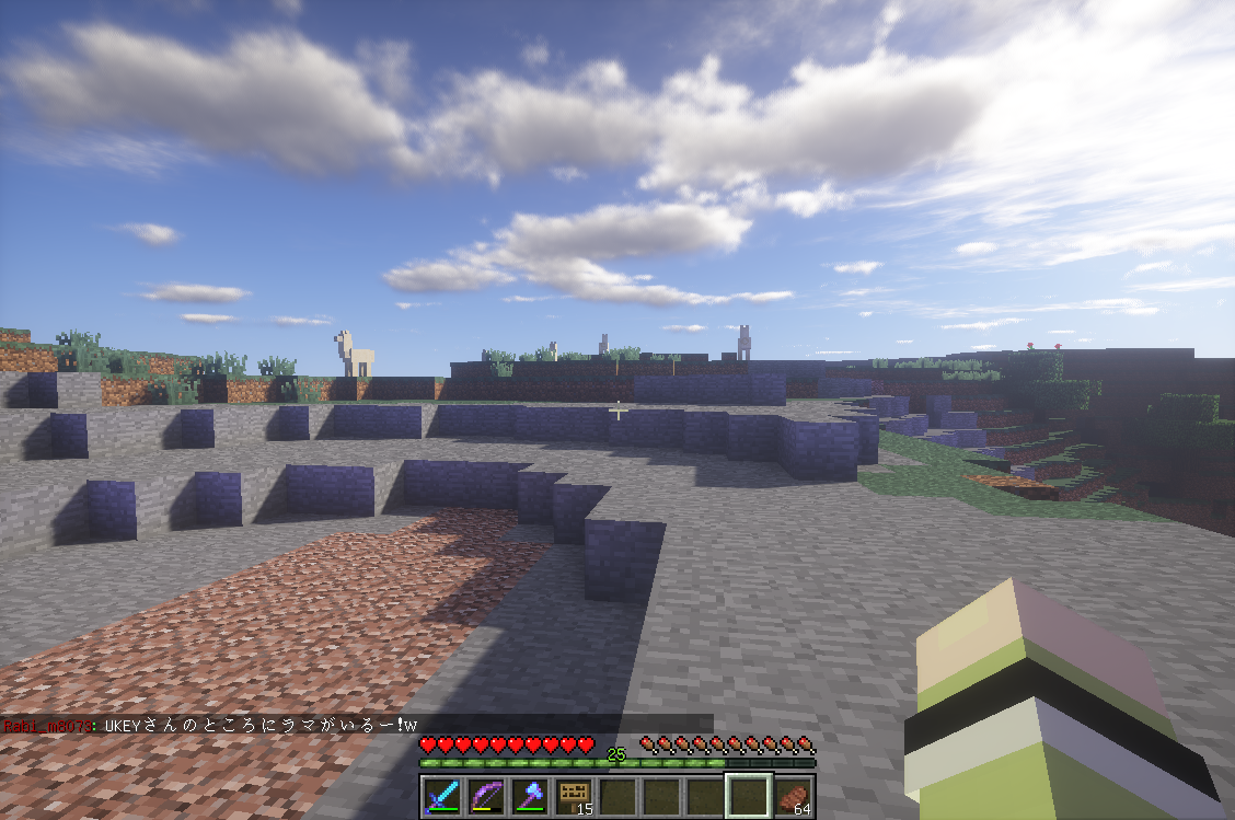 Rabi World Rabiのminecraft日誌