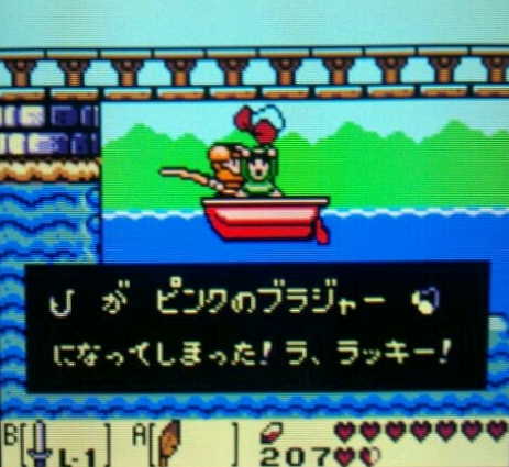 yumesima001