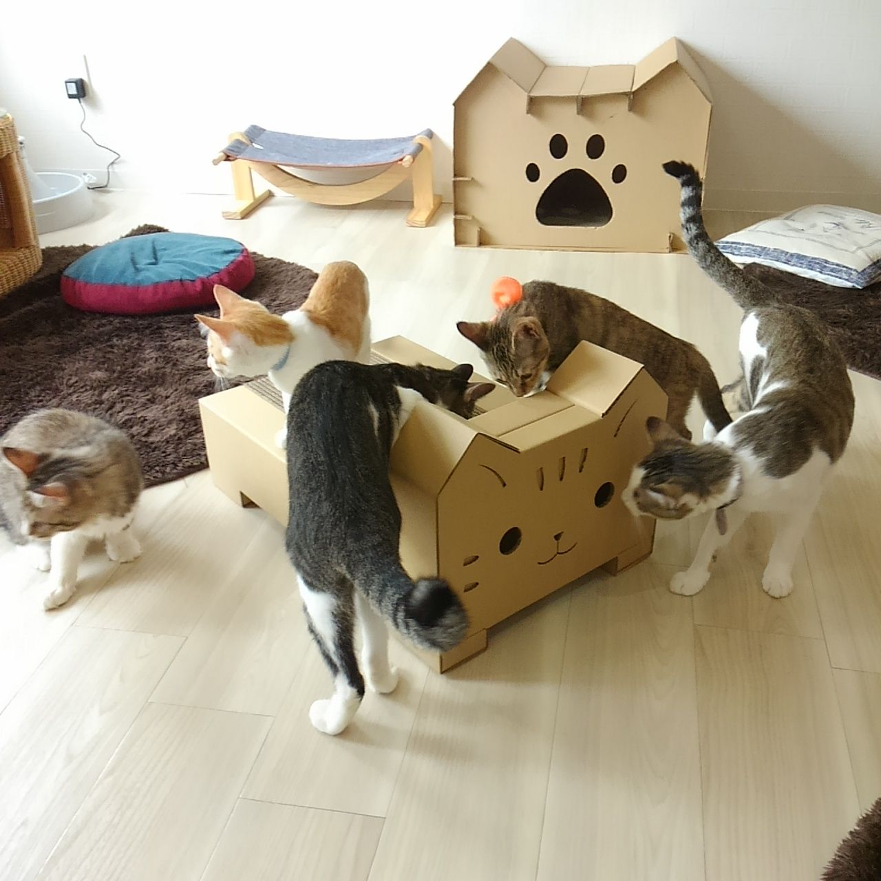 爪とぎ付きねこ型ベッドをもってnew Journeyさんへ遊びに行きました Z Force 段ボール工作キットのスタッフブログ