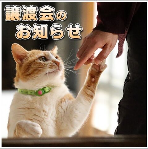 リールー5