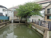 綾瀬川と合流