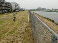 古隅田川分岐点