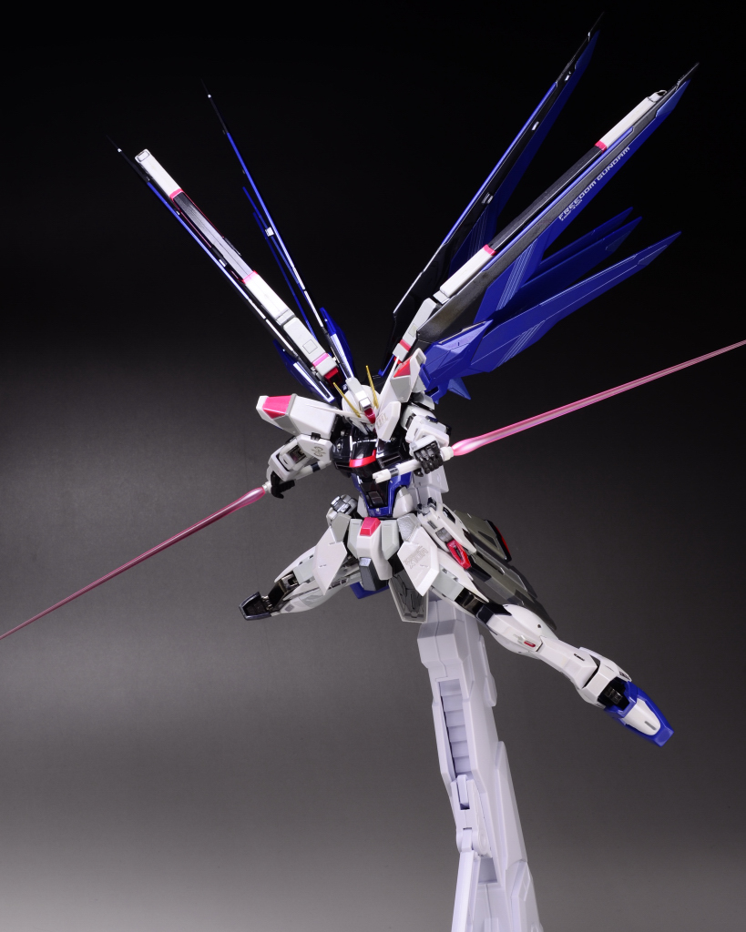 TAMASHII NATION 2012 開催記念商品 METALBUILD フリーダムガンダム