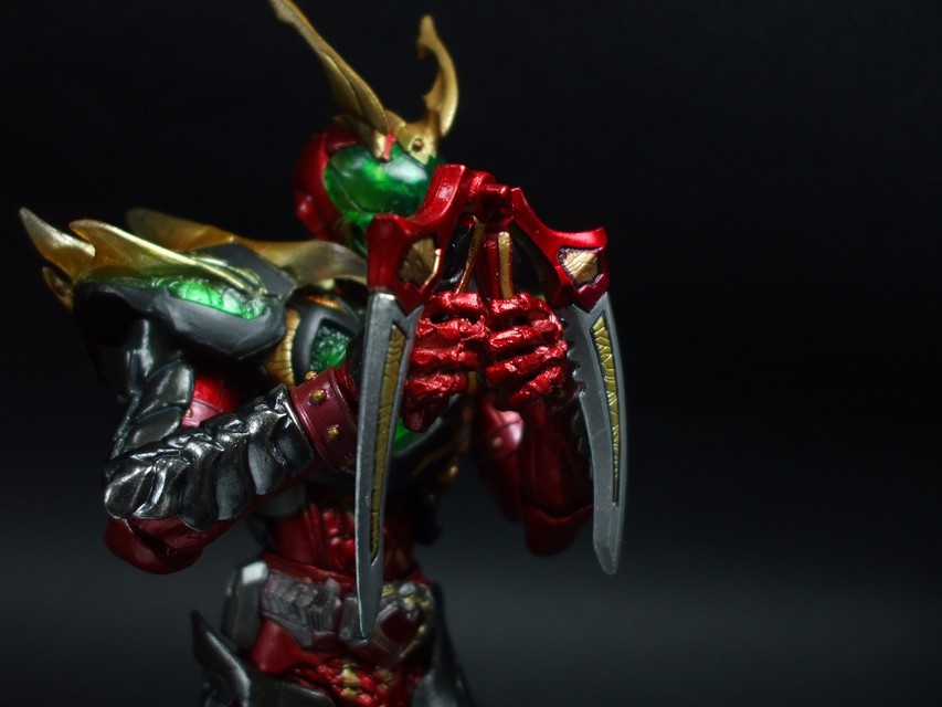TAMASHII NATION 2010会場限定 S.I.C.LIMITED 仮面ライダーワイルド