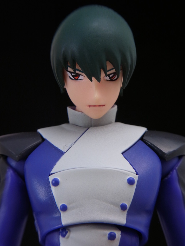 魂ウェブ商店限定 S H フィギュアーツ 劉鳳 絶影 レビュー きんけつほびーらいふ