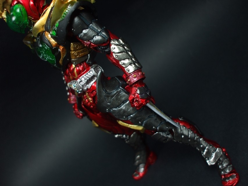 TAMASHII NATION 2010会場限定 S.I.C.LIMITED 仮面ライダー