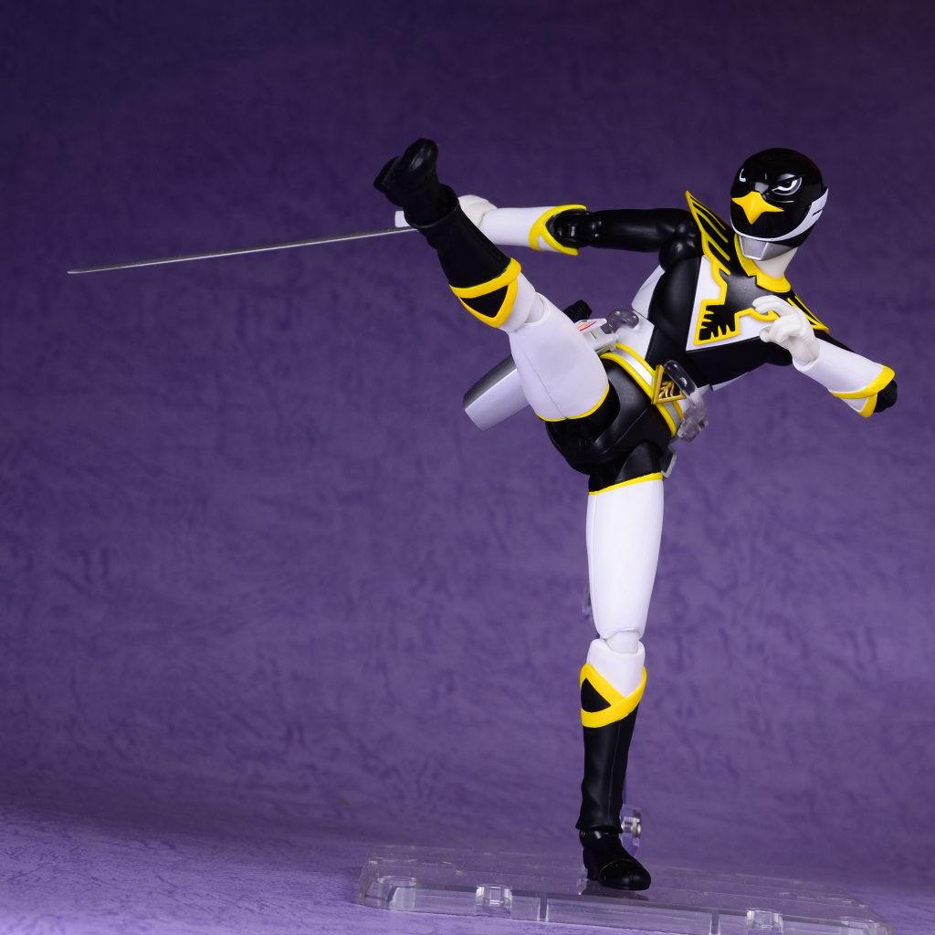 魂ウェブ商店限定 .フィギュアーツ ブラックコンドル