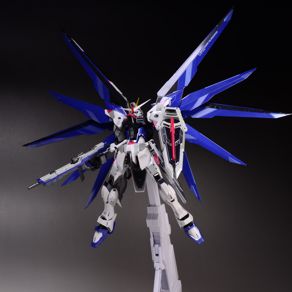 TAMASHII NATION 2012 開催記念商品 METALBUILD フリーダムガンダム