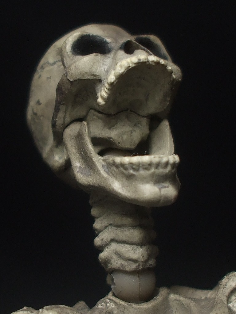 海洋堂 特撮リボルテック Series No 0 骸骨剣士 レビュー きんけつほびーらいふ