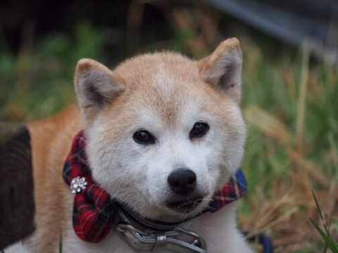 タロー00