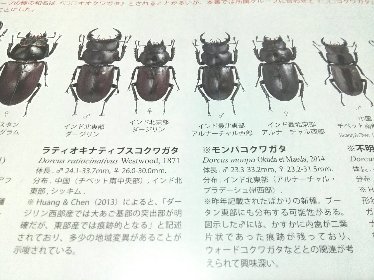 魅惑のRare_M : 息子のためとは言いながらも