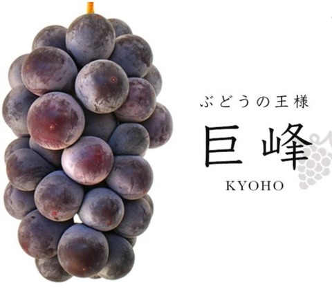 kilyohou