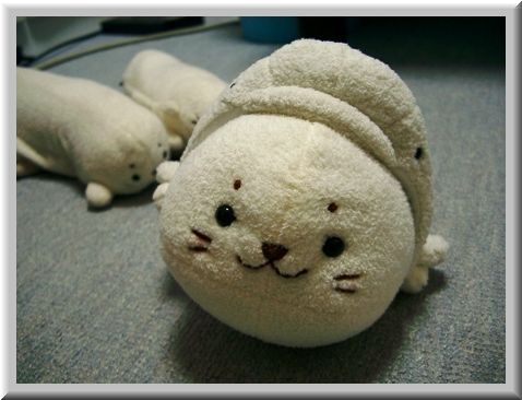 八景島シーパラダイス 横浜市 Garnetmoon