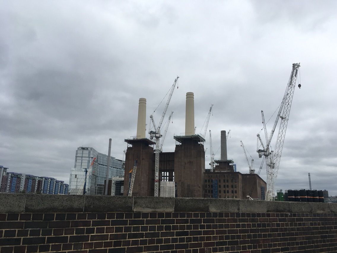 バタシードッグ キャットホーム見学 イギリスそこそこ好き人間の移住計画 バタシードッグ キャットホーム見学 イギリスそこそこ好き人間の移住計画