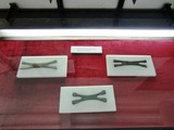 CIMG0828
