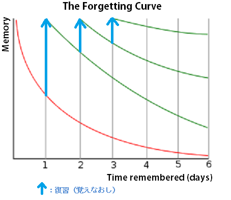 エビングハウスの忘却曲線