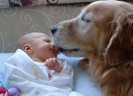 犬と子どもの「ほんわり」  カラパイア