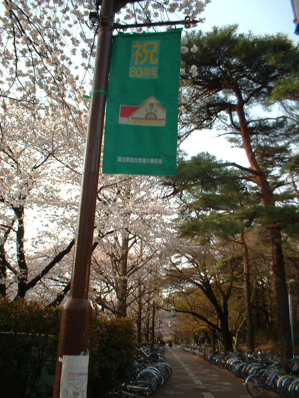 国立駅舎の解体 など 何でそーなるの 欽ちゃん口調で 出版営業員ブログ