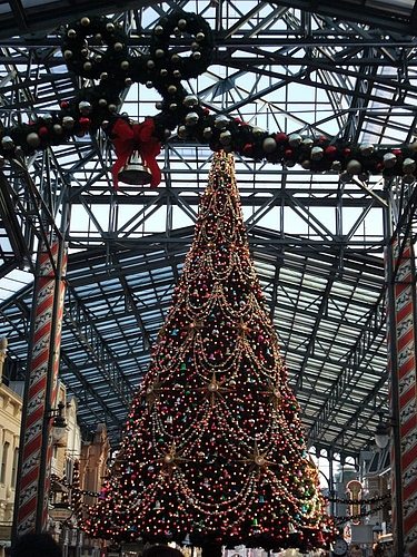 TDRその3】東京ディズニーランド「クリスマス・ファンタジー