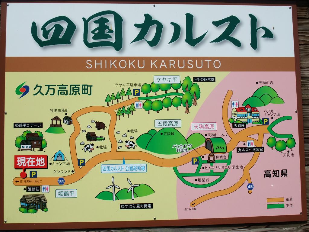 四国カルスト巡り1】姫鶴平から五段高原、天狗高原へ : 【エヒメン 