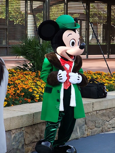 Tdrその11 シーで出逢ったディズニーキャラクターたち エヒメン 愛媛県男子の諸々