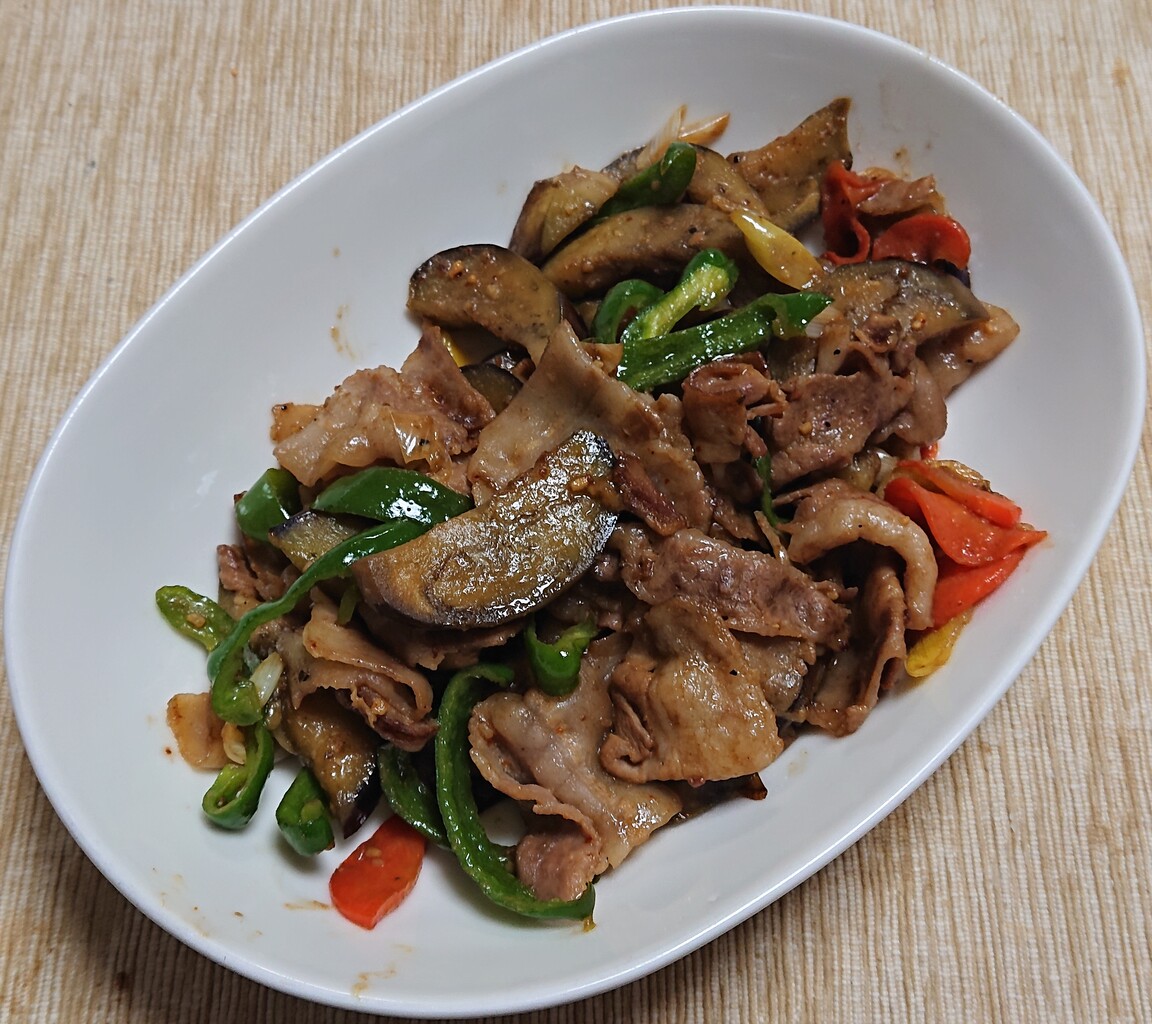 豚肉とナスとピーマン他の焼肉のたれ炒め ぶつぶつもぐもぐ 日々の食生活とか云々