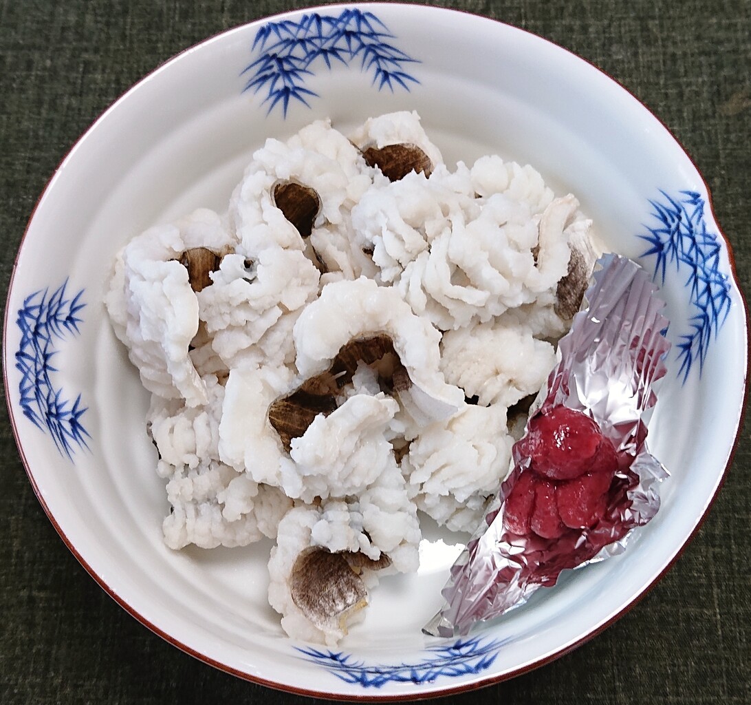 鮭ハラスの塩焼き 鱧の落とし ぶつぶつもぐもぐ 日々の食生活とか云々
