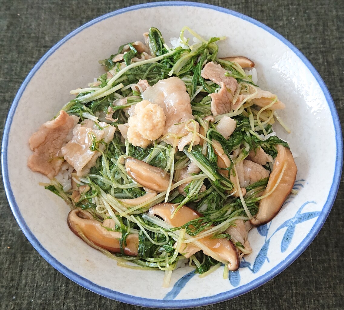 豚肉と水菜のあんかけ丼 ぶつぶつもぐもぐ 日々の食生活とか云々