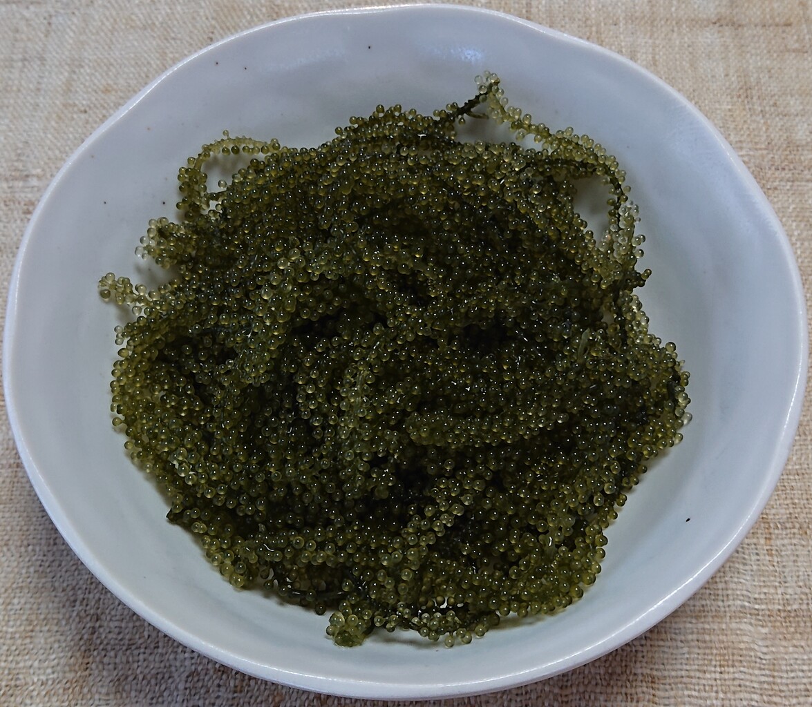 沖縄県産海ぶどう 葉生姜と味噌 ぶつぶつもぐもぐ 日々の食生活とか云々 沖縄県産海ぶどう 葉生姜と味噌 ぶつぶつもぐもぐ 日々の食生活とか云々