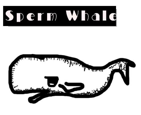 アルメリック 】Sperm Whale (スパムホエール) 再入荷 アルメリック 】Sperm Whale (スパムホエール) 再入荷
