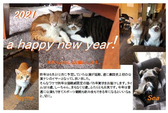 21猫年賀状