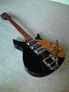 Rickenbacker325 One Day At A Time