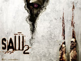 SAW2