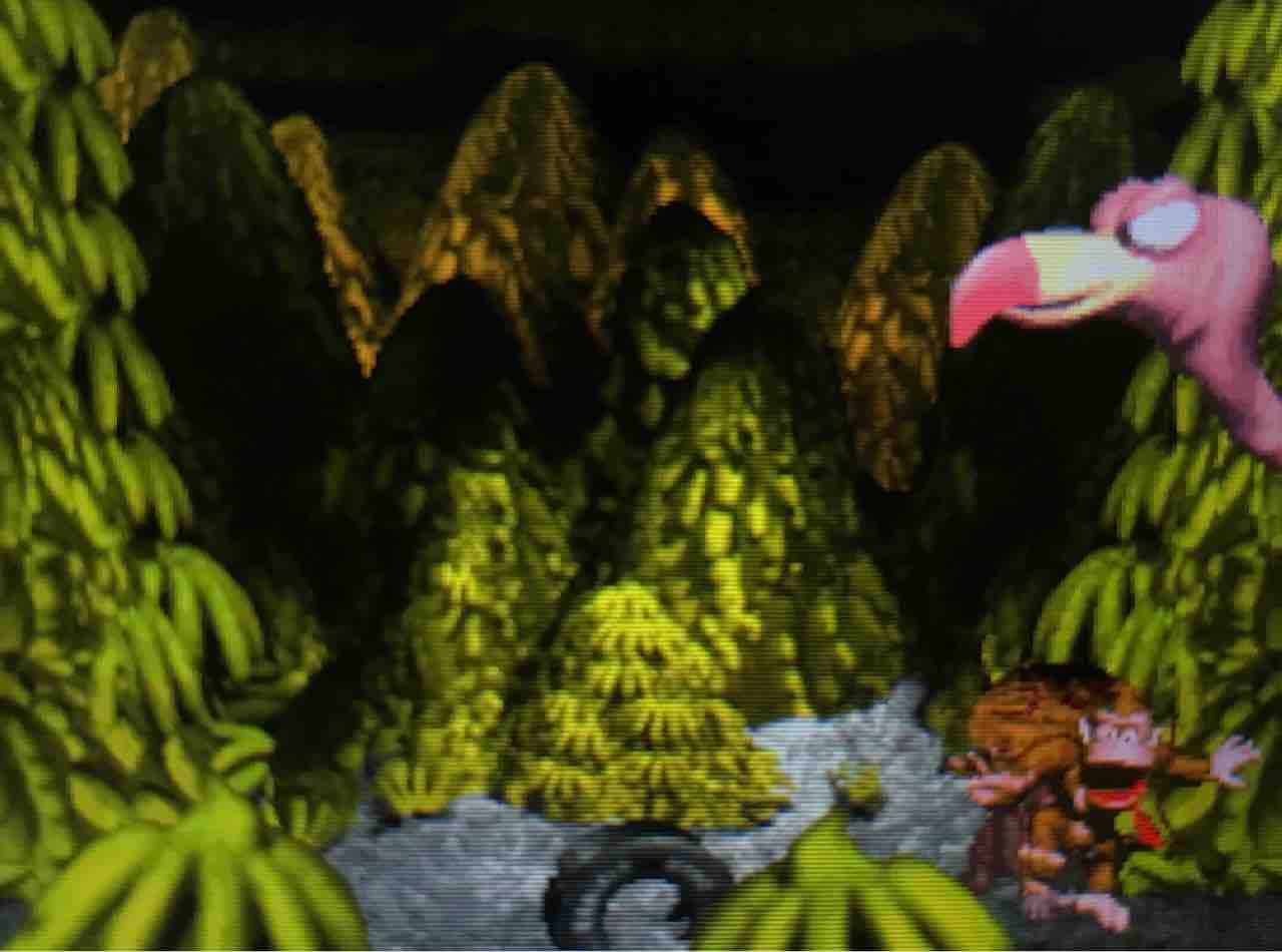 探検 バナナのアイランド スーパードンキーコング 2 自由と私と 探検 バナナのアイランド スーパードンキーコング 2 自由と私と