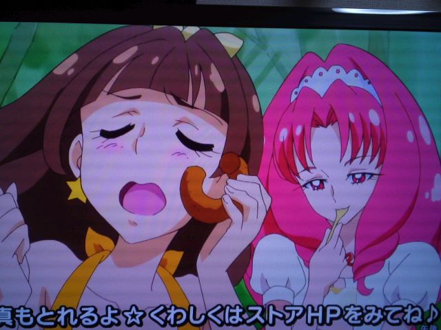 Go プリンセスプリキュア第33話 教えてシャムール 願い叶えるプリンセスレッスン 日刊ｚプチ