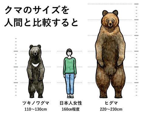 【悲報】クマ「ねぇ人間さん、ぼくは『害獣』なの？」