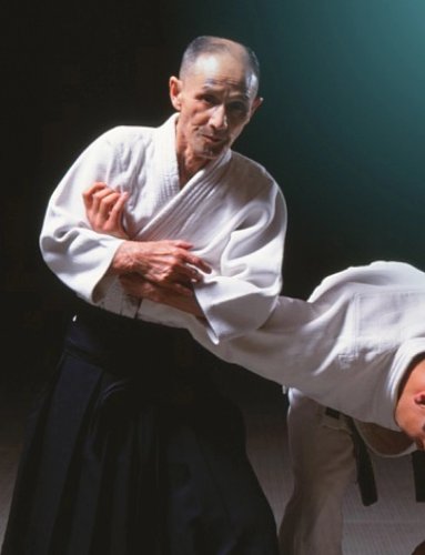 【困惑】合気道の達人のジジイって本当に強いんかな