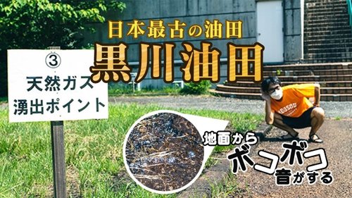 【悲報】日本さん、油田も天然ガスもあるのに誰も掘ろうとしないｗｗｗｗｗｗｗｗｗｗ