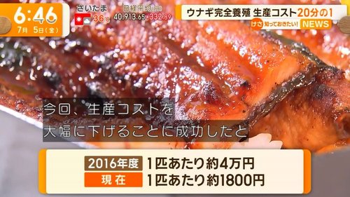 【困惑】うなぎが記録的豊漁で仕入れ値3割減、なのに値下げしないのはどうして？