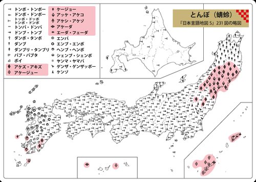 【衝撃】「実は方言だった言葉」ランキングさん、ついに発表されるｗｗｗｗｗｗｗｗｗｗ