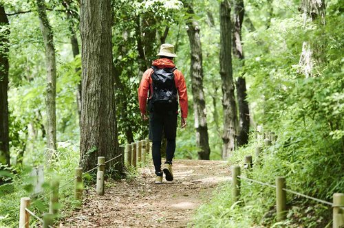 【困惑】一人でできる趣味をかたくなに複数人でやろうとする人ｗｗｗｗｗｗｗｗｗｗ