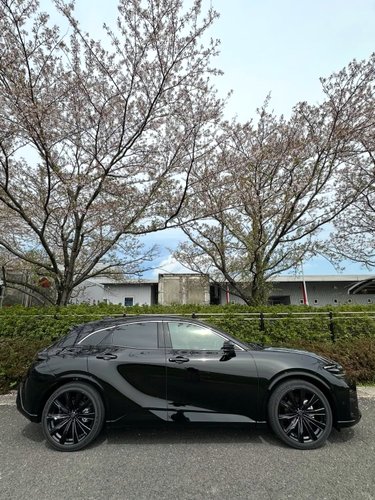 【悲報】新型クラウンさん、ガチで様子がおかしいｗｗｗｗｗｗｗｗｗｗ